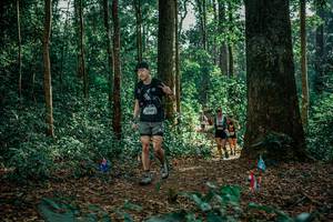 BIB: 
                            <button type="button" onclick="openModal(26131037)" class="btn btn-primary btn-sm float-right btn-popup" data-toggle="modal" data-target=".modal-high-quality">
                        <i class="fas fa-shopping-cart"></i> Add to Cart
                    </button>
                                            <button type="button" onclick="isThisMe(26131037, true)" class="btn btn-success btn-sm float-right btn-popup btn-isme hidden" data-toggle="tooltip" data-placement="bottom" title="นี่คือรูปของคุณใช่ไหม คลิกที่นี่เพื่อเอาเข้าอัลบั้ม">
                        <i class="fas fa-plus"></i> Add to album
                    </button>
                    <button type="button" onclick="isThisMe(26131037, false)" class="btn btn-warning btn-sm float-right btn-popup btn-isnotme hidden">
                        <i class="fas fa-ban"></i> Remove from album
                    </button>